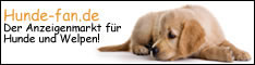 Hundebanner234_60_2