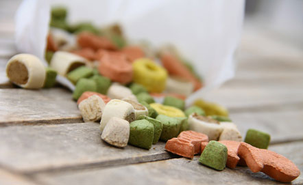 Hundekeske und Hundekuchen kann man auch selber backen.