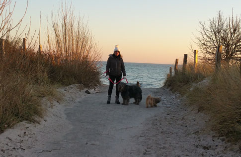 Urlaub mit Hund im Winter an der Ostsee kann sehr erholsam sein.