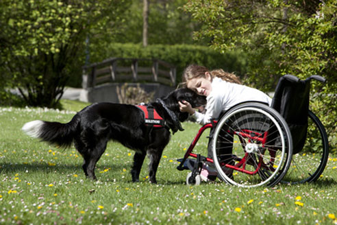 Ein Therapiehund kann Menschen mit körperlichen und psychischen Problemen helfen.