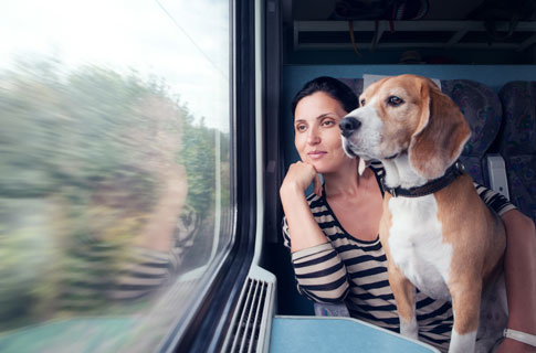 Anreise mit Hund und Bahn