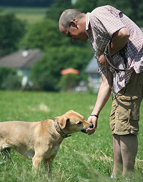 Ein eigenes Haus zu besitzen, kann für den Hundehalter viele Vorteile haben.